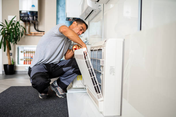 Best Local Air Duct Cleaning Services  in Sanborn, NY