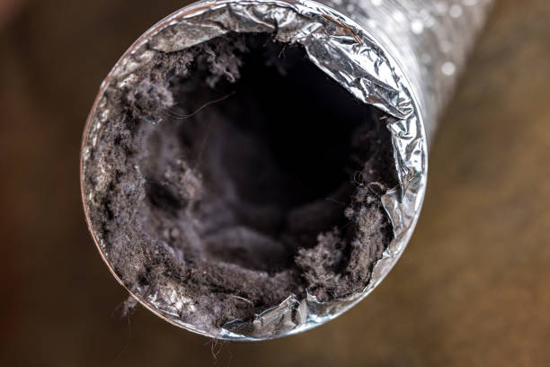 Best Ductwork Cleaning Services  in Sanborn, NY